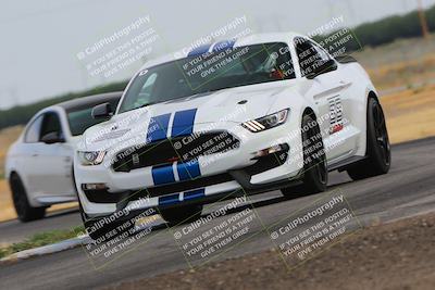 media/Jun-24-2023-Speed SF (Sat) [[1b7e0c161d]]/Gold Group/Session 1 (Sweeper)/